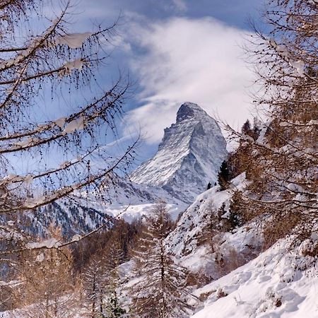Chalet Zen Zermatt, 100M From Ski Lift And Piste Dış mekan fotoğraf