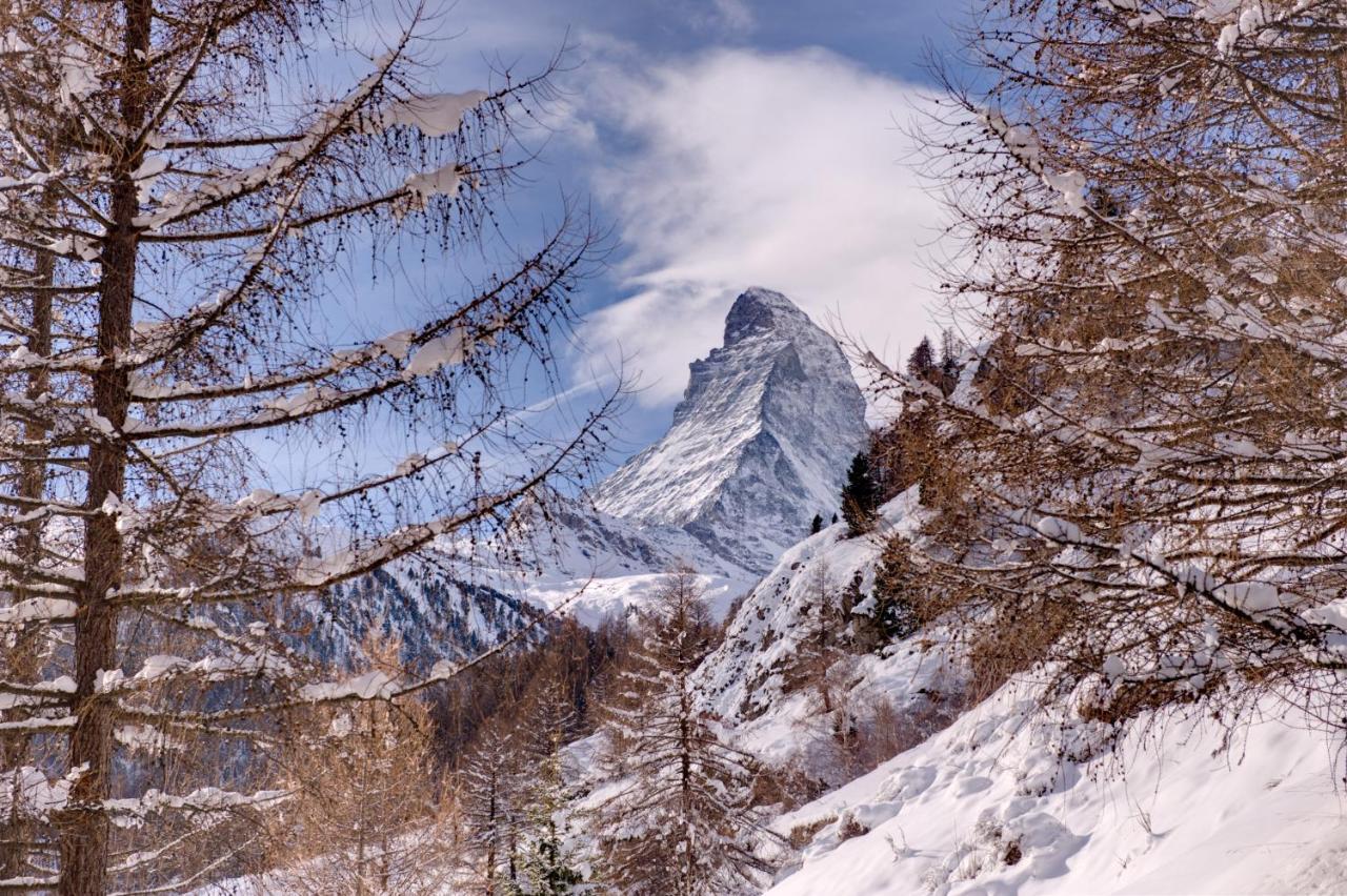 Chalet Zen Zermatt, 100M From Ski Lift And Piste Dış mekan fotoğraf